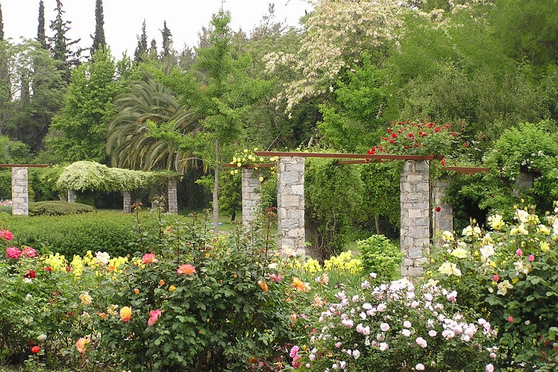 Jardim Botânico Diomidis em Atenas